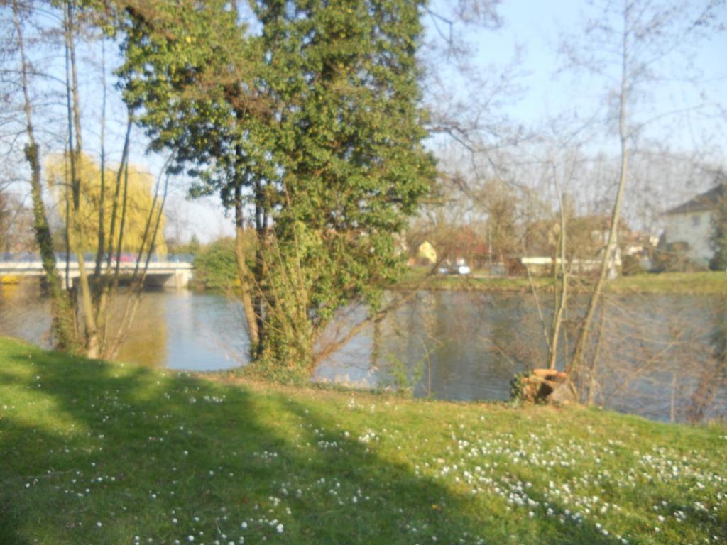 L'Hotel Des Bords De L'Ill Erstein Esterno foto